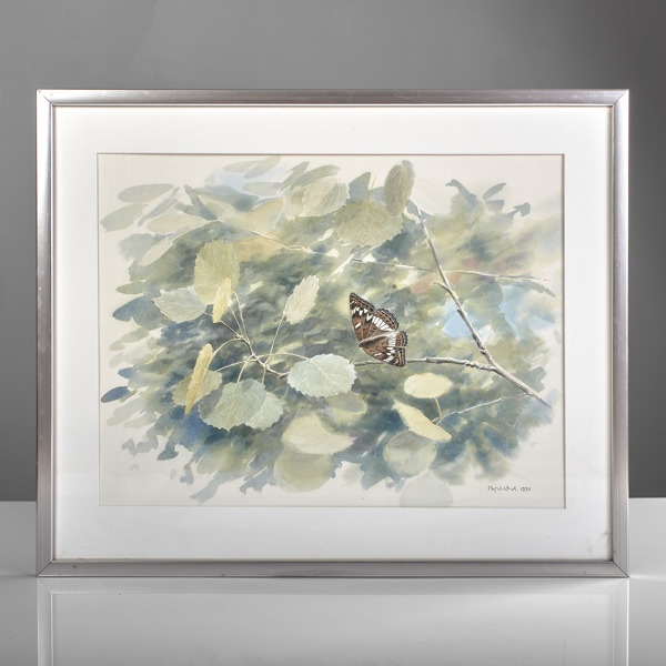 BJÖRN DAHL. Akvarell. Aspfjäril.