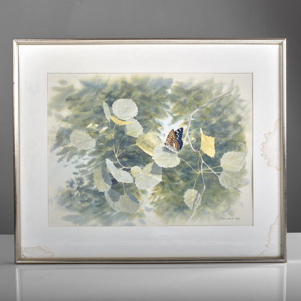 BJÖRN DAHL. Akvarell. Aspfjäril.