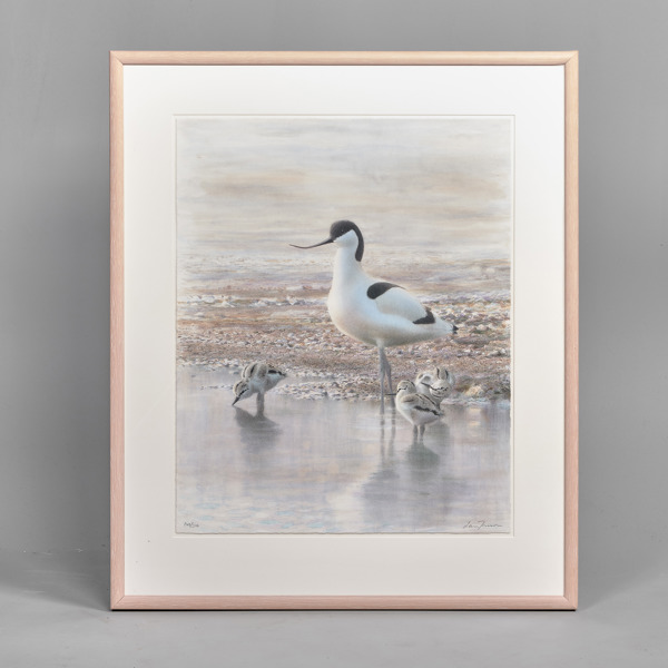 LARS JONSSON. (1952-). Färglitografi. Skärfläcka med ungar.